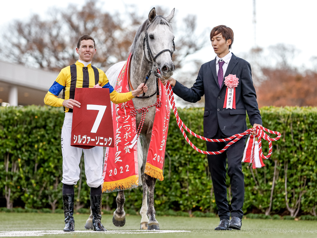 格安人気 アイドルホース 皐月賞・NHKマイルカップ・菊花賞優勝馬 ...