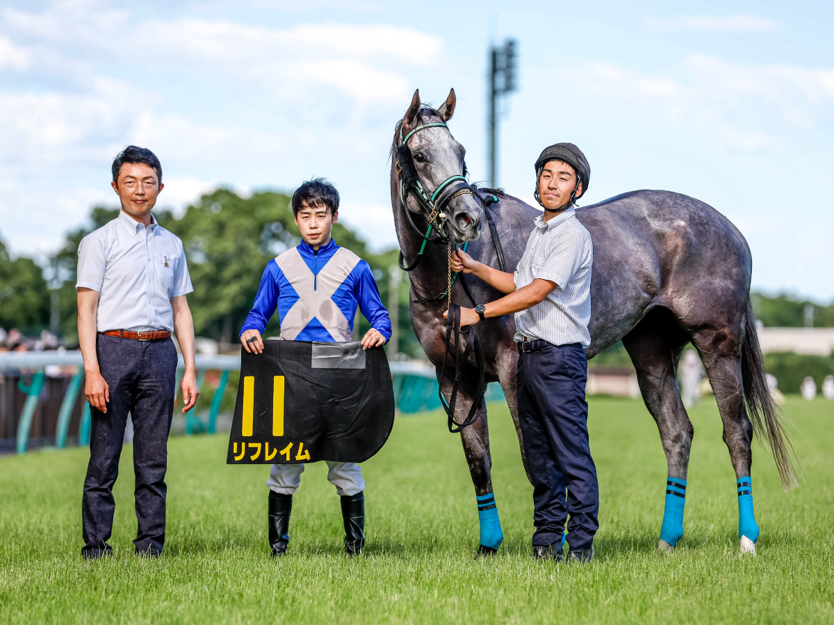 98.99香港年度代表馬 インディジェナス ぬいぐるみ - portalmagazine.ca