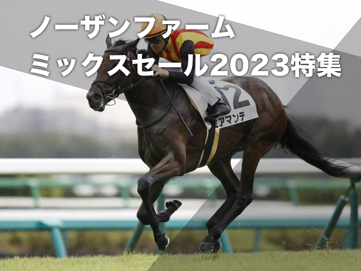 【ミックスセール2023特集】ノーザンファームミックスセールの概要・上場予定馬113頭の一覧ほか【10月24日開催】