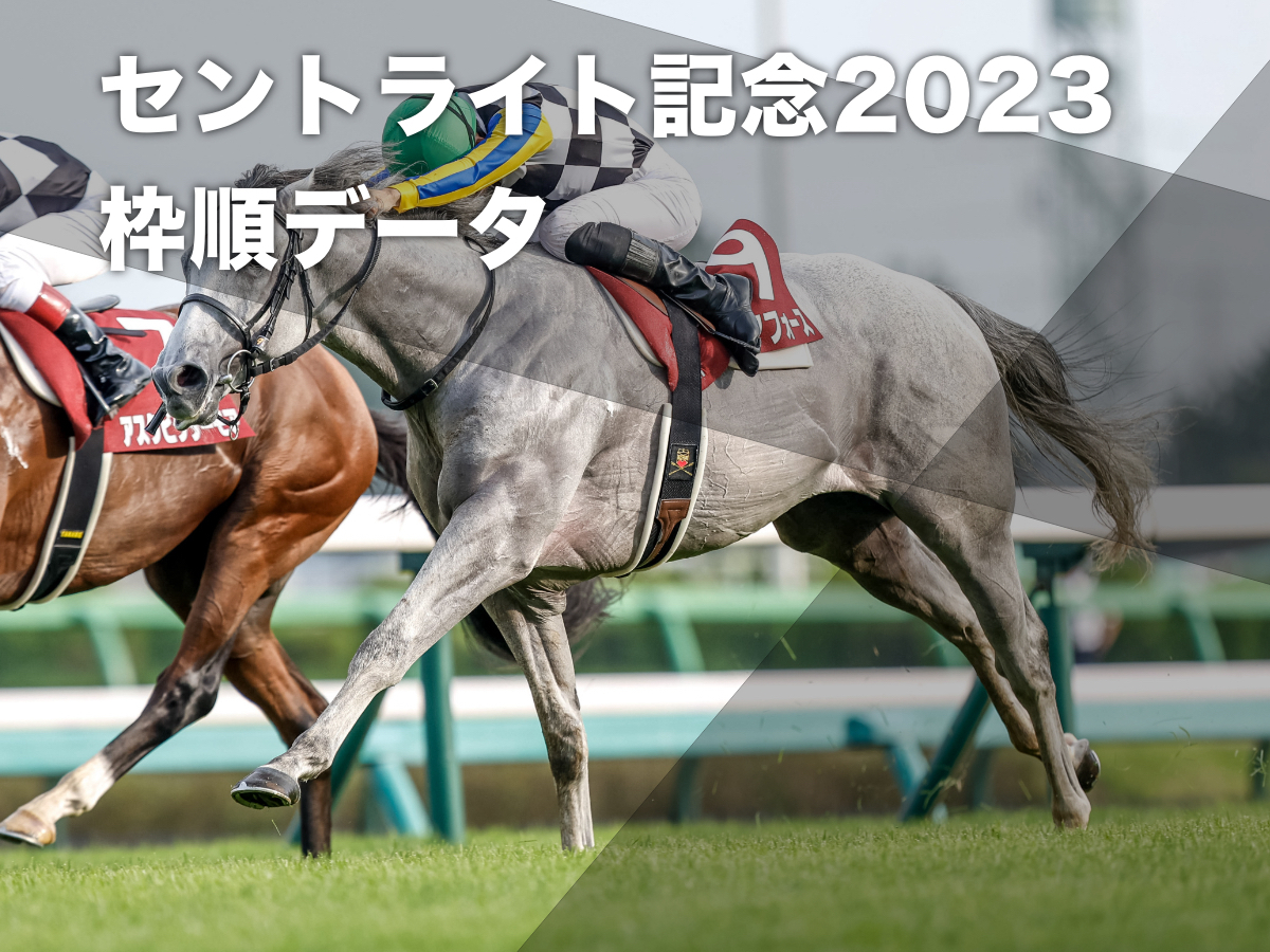 2022年セントライト記念覇者ガイアフォース(撮影：下野雄規)