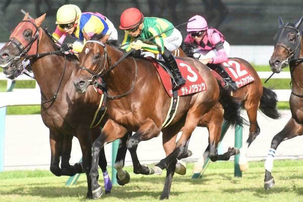 【神戸新聞杯2023 結果情報】サトノグランツが菊花賞へ向けて好発進！