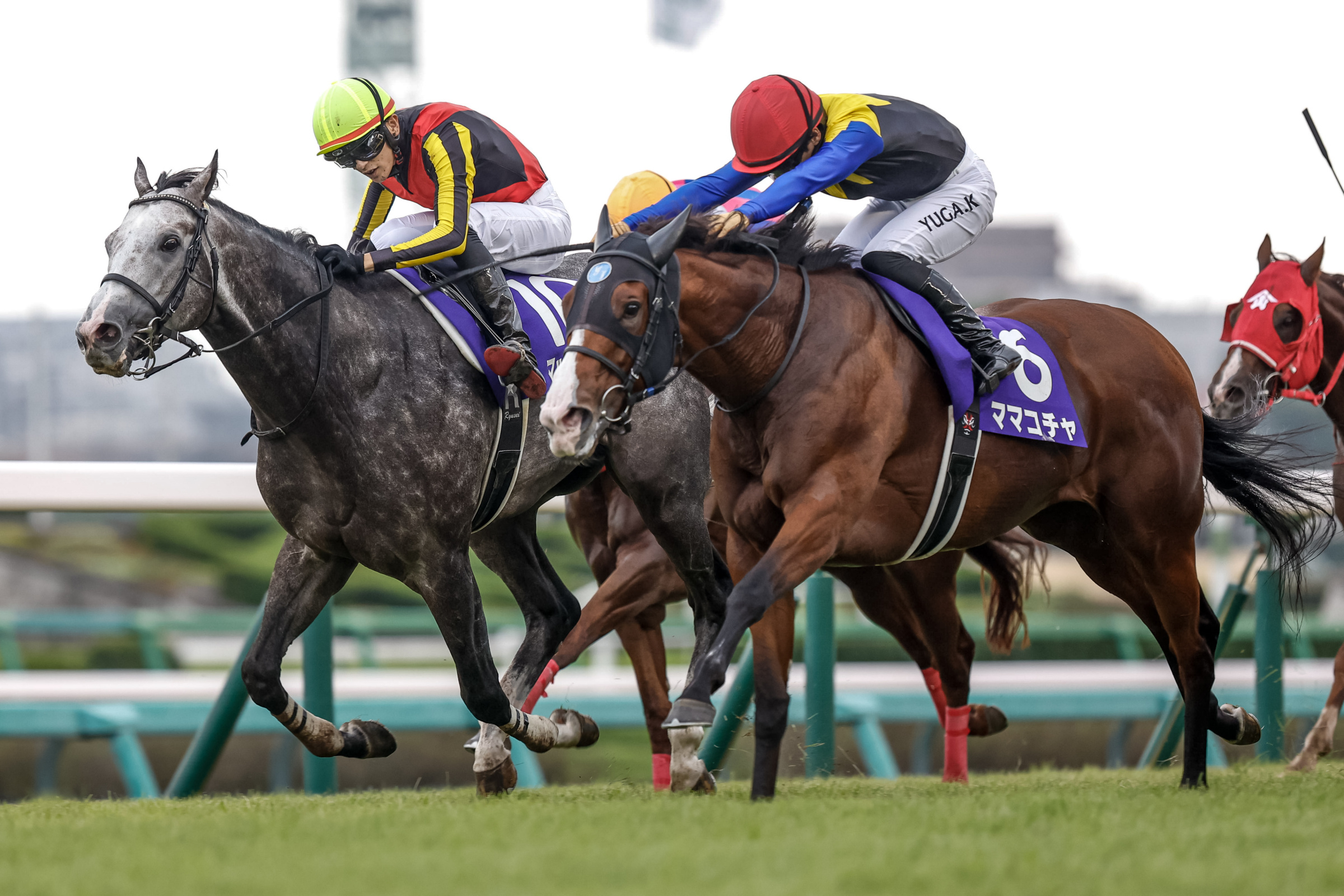 スプリンターズS」競馬まとめ一覧 | 競馬まとめ - netkeiba