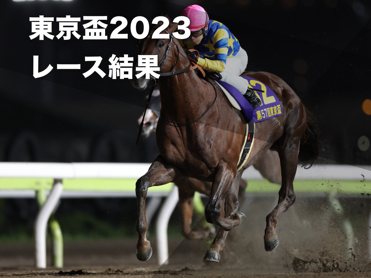 【東京盃2023結果情報】ドンフランキーが押し切り重賞2勝目！2着にリュウノユキナが入線 スーニのレコードを更新する1分10秒0の猛時計でダートスプリント王者へ