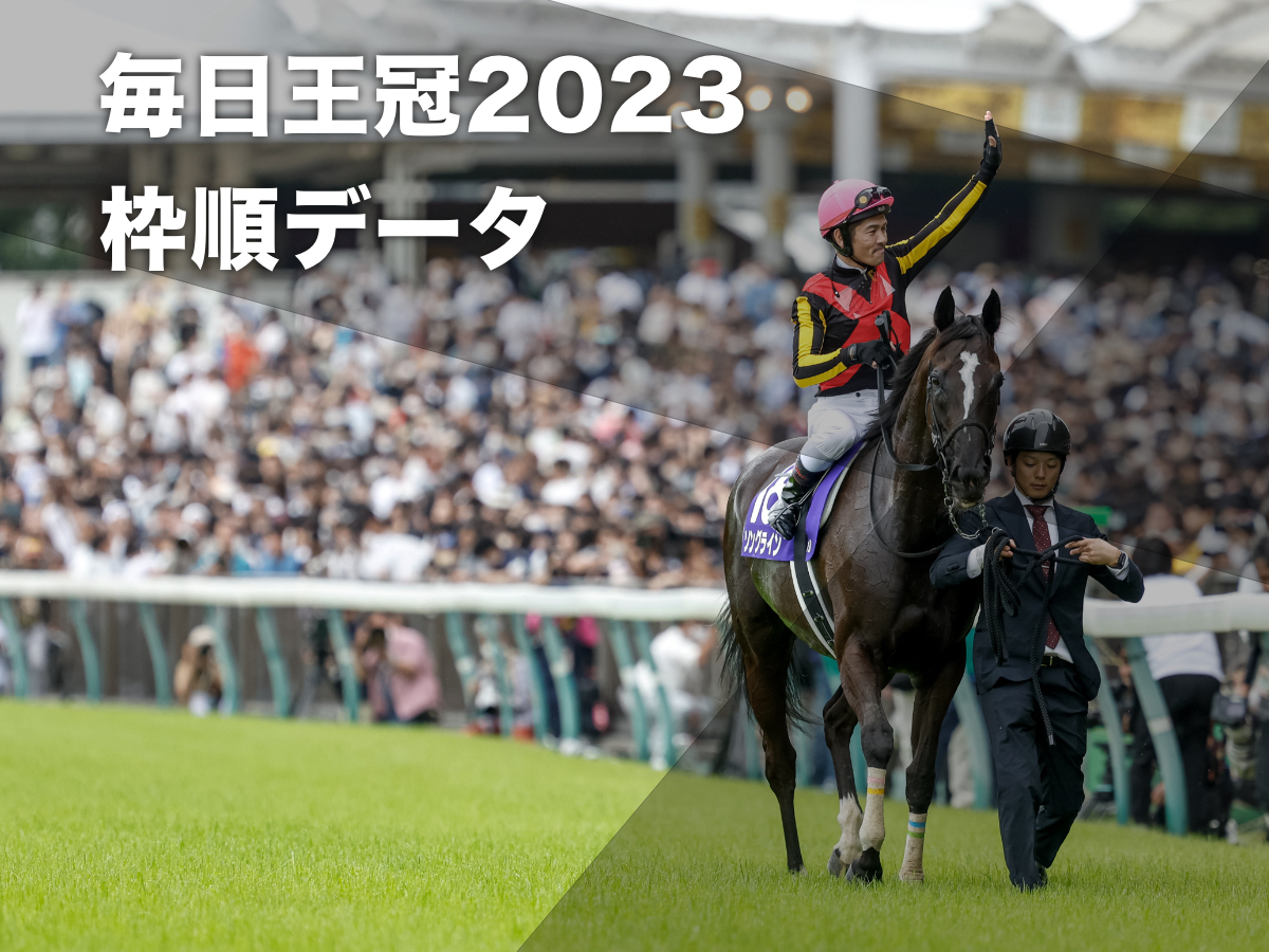 2023年毎日王冠に出走予定のソングライン(撮影：下野雄規)