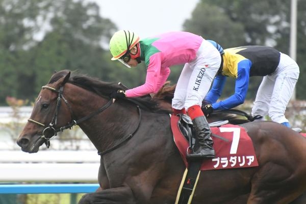 【京都大賞典 結果情報】プラダリアが一気の追い込みで重賞2勝目！