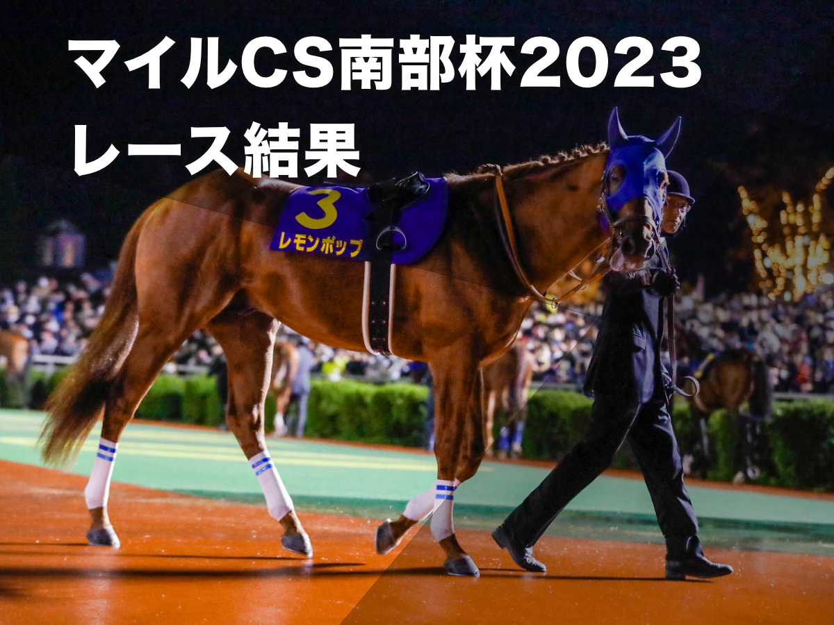 2023年マイルチャンピオンシップ南部杯を制したレモンポップ(撮影：高橋正和)