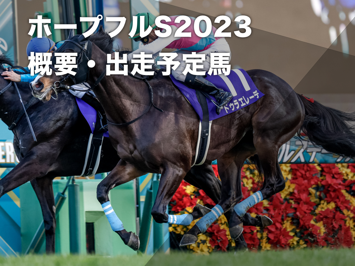 【ホープフルステークス2023】出走馬・除外馬・騎手・予想データ・日程・レース概要・最新情報など【出走時間：12月28日(木)15時40分】