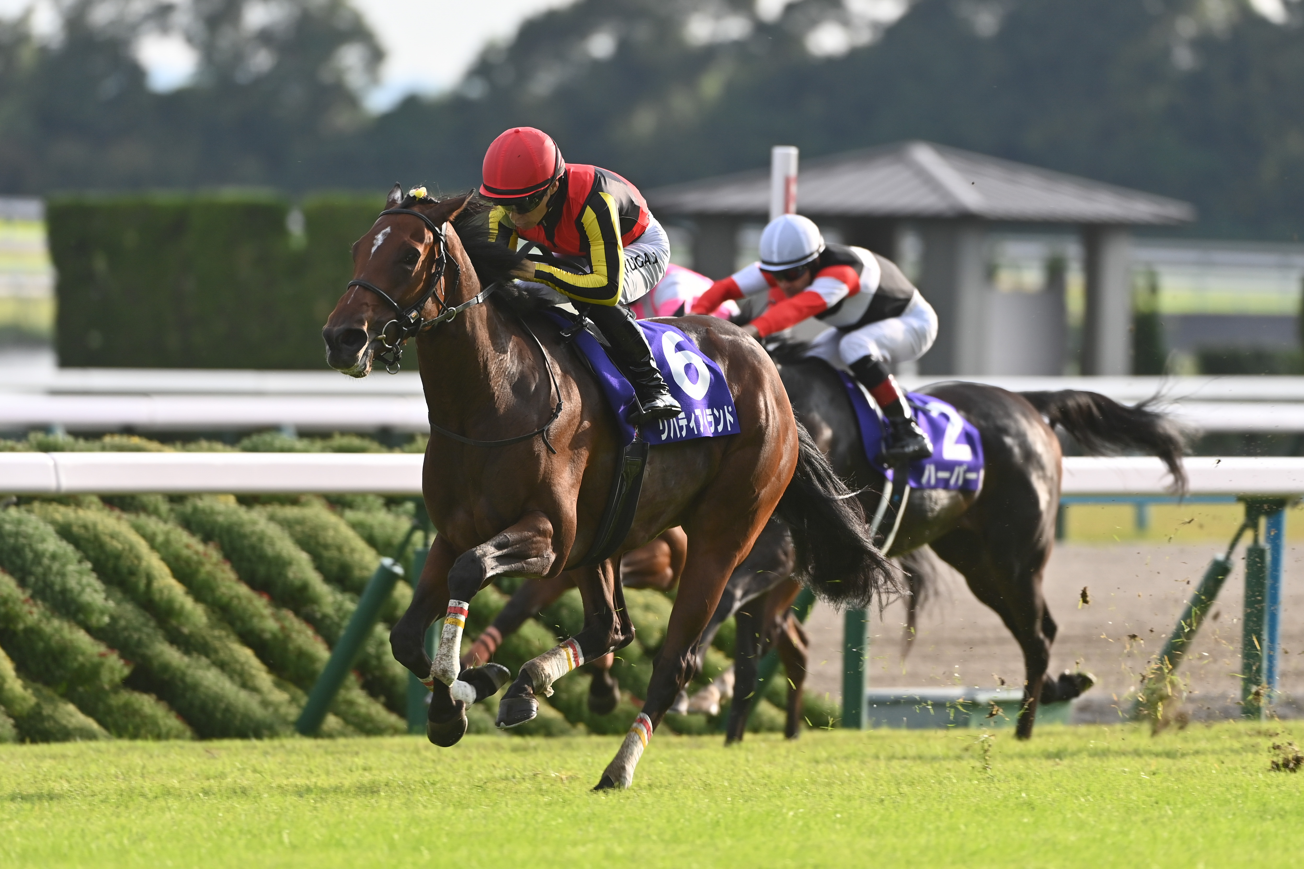 秋華賞2023結果情報】リバティアイランドが史上7頭目の牝馬三冠を達成 