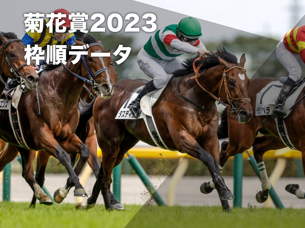 【菊花賞2023予想】京都開催過去10回のデータから有利な枠順・不利な枠順を分析 2枠からコントレイル・サトノダイヤモンド・キタサンブラック・エピファネイアが優勝