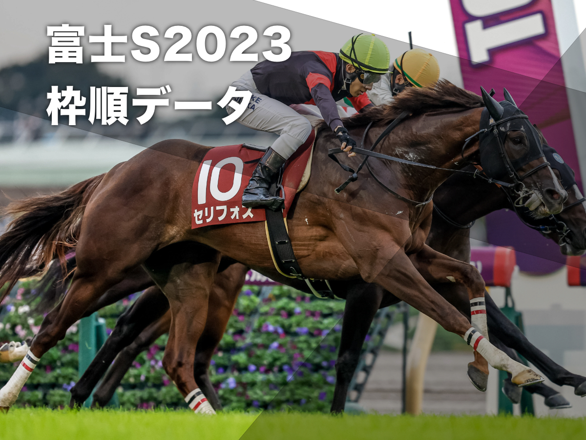 2022年富士ステークス覇者セリフォス(撮影：下野雄規)