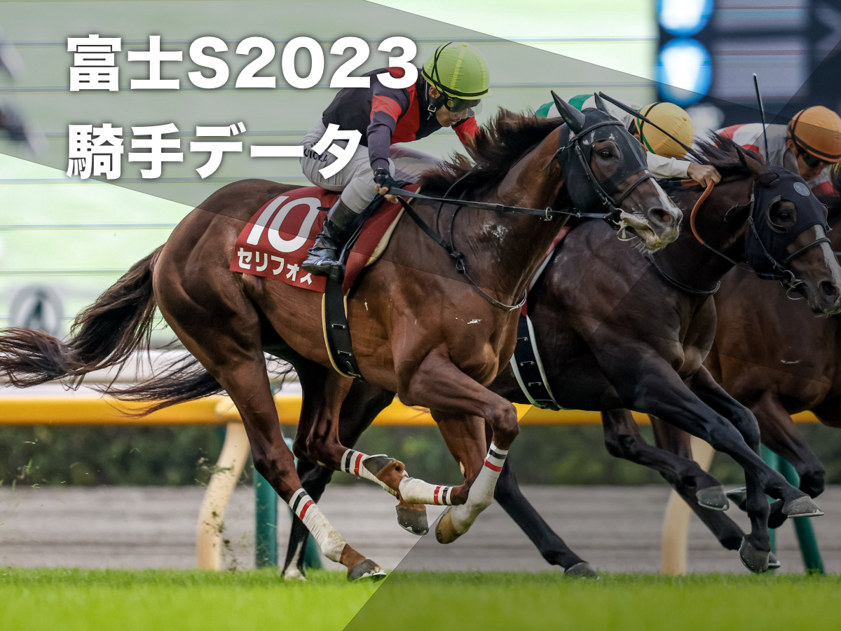 2023年富士ステークス覇者セリフォス(撮影：下野雄規)