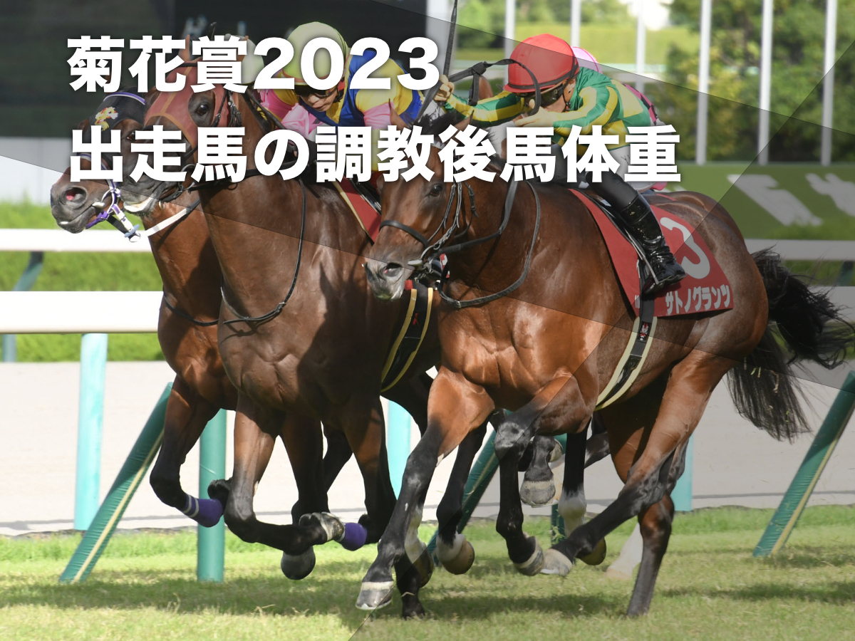 【菊花賞2023】出走馬の調教後馬体重一覧 ソールオリエンスとタスティエーラはともに＋8kg