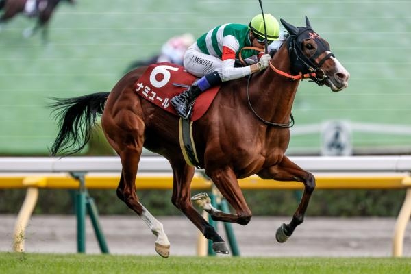 富士Sを制したナミュール(撮影：下野雄規)