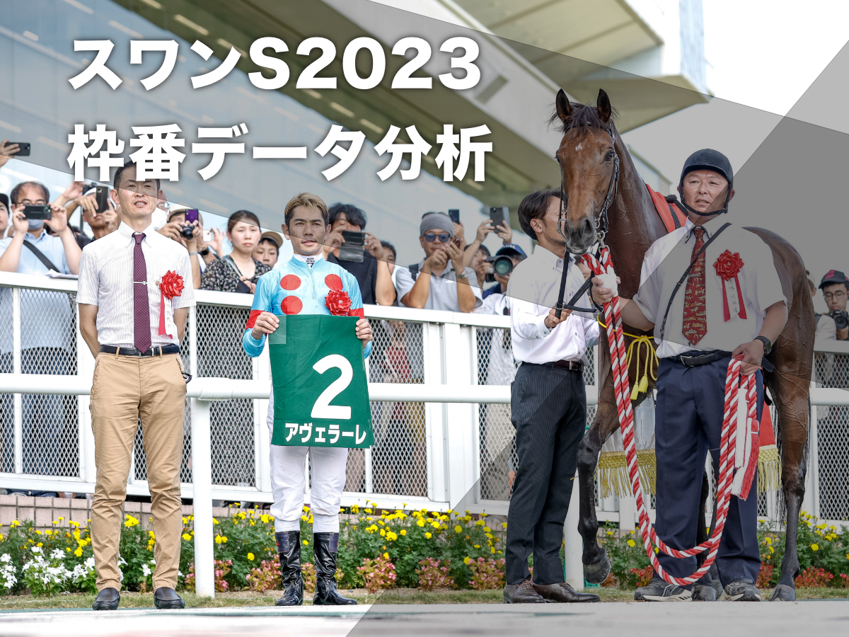 2023年スワンステークスに出走予定のアヴェラーレ(撮影：下野雄規)