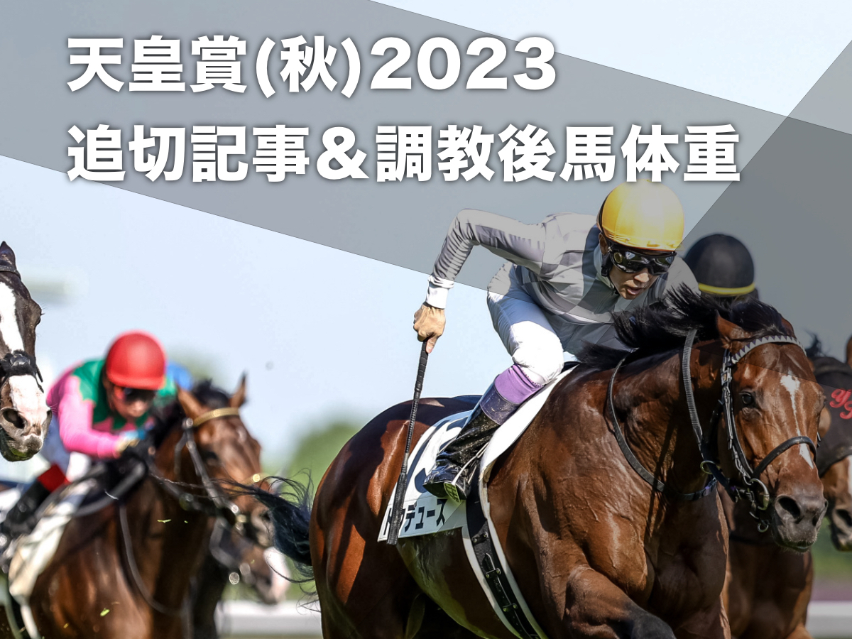 【天皇賞(秋)2023予想】出走各馬の追い切り記事まとめ＆調教後馬体重の一覧 イクイノックス・ドウデュース・プログノーシス・ジャックドールなど【調教記事まとめ】