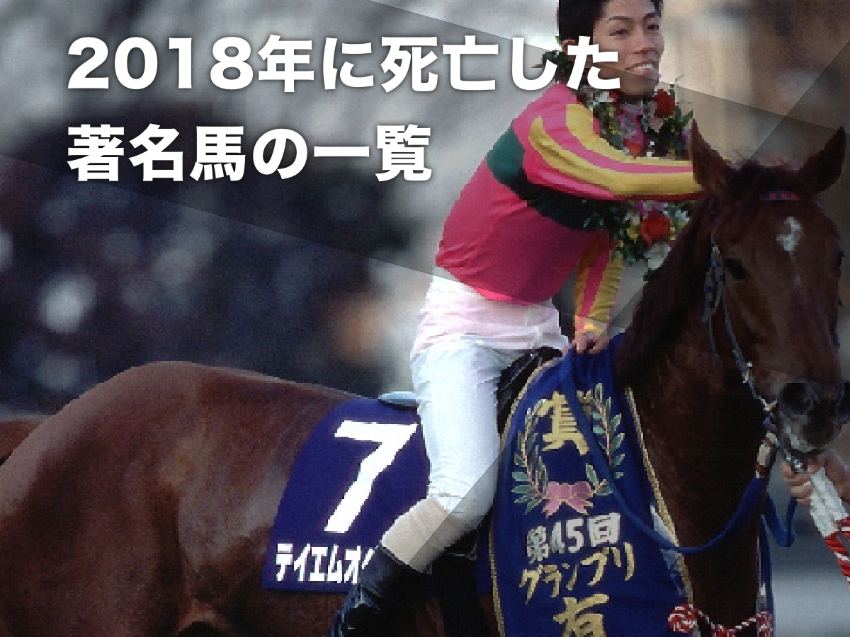 当時の世界賞金王となったテイエムオペラオー(撮影：下野雄規)