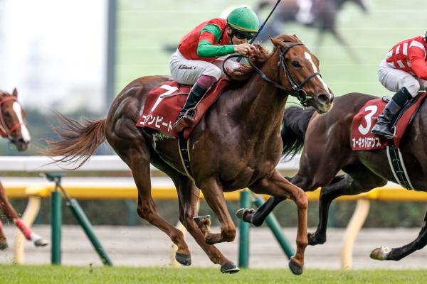 京王杯2歳Sを制したコラソンビート (撮影：下野雄規)