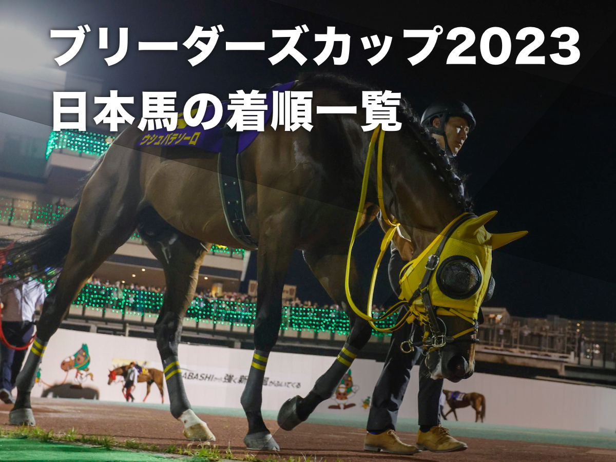 【日本馬成績一覧】ブリーダーズ・カップ2023に出走した日本馬の着順・出走したレースの一覧