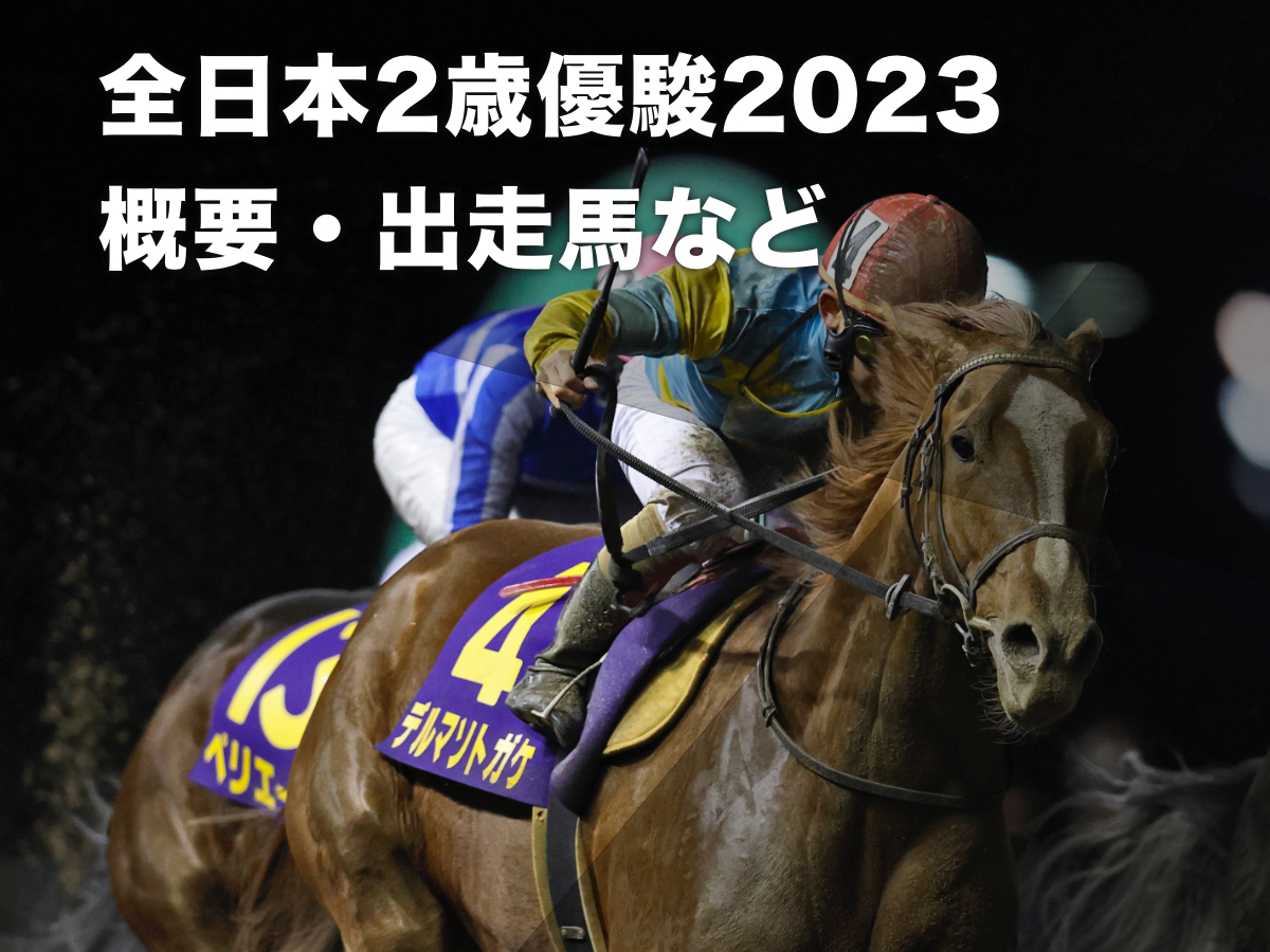 2022年全日本2歳優駿覇者デルマソトガケ(撮影：高橋正和)