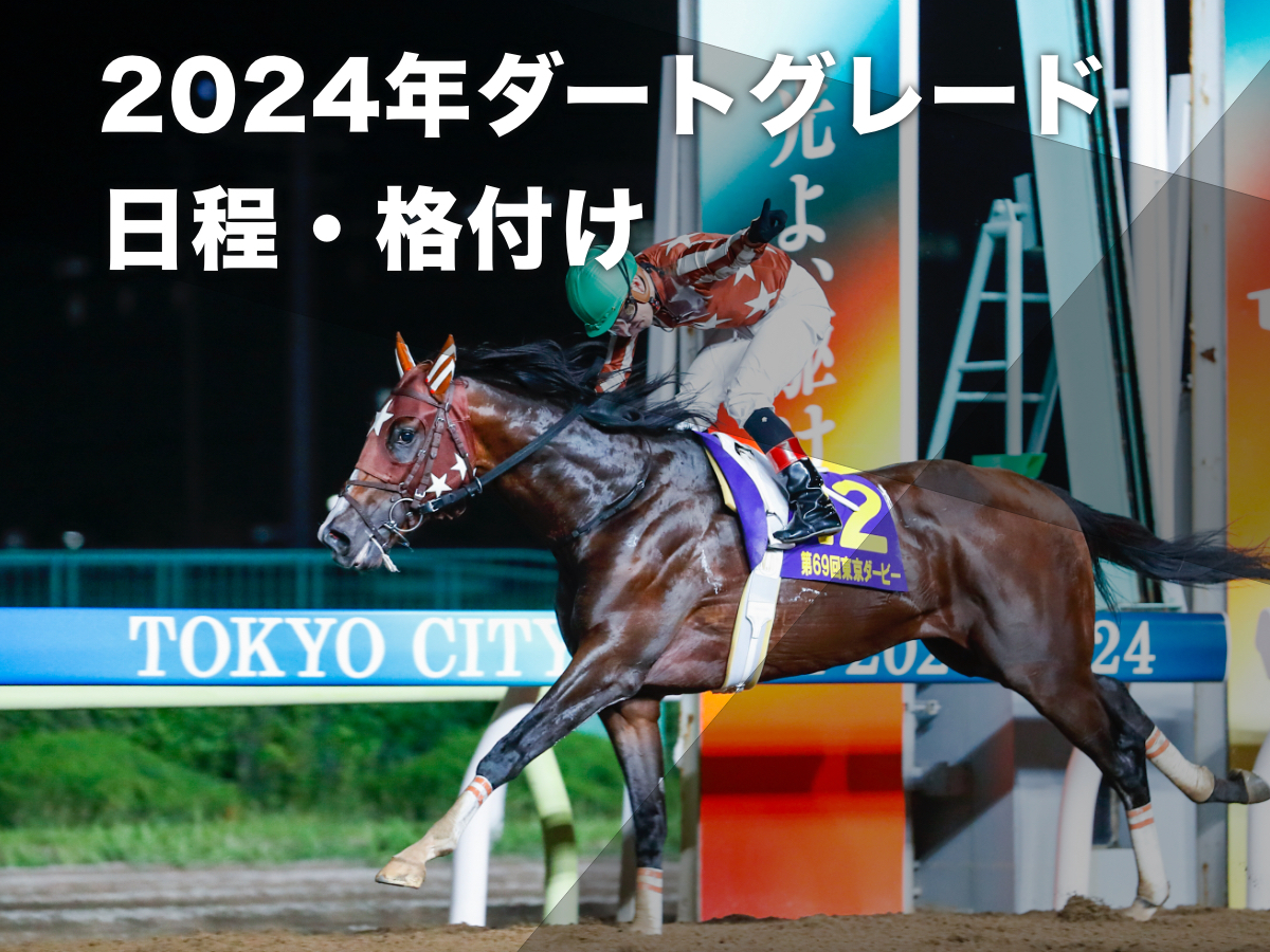 2023年に南関東三冠を達成したミックファイア(撮影：高橋正和)