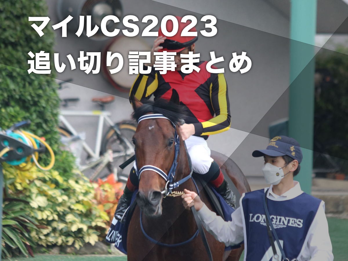 【マイルチャンピオンシップ2023予想】出走各馬の追い切り記事まとめ＆調教後馬体重の一覧【マイルCS調教記事まとめ】