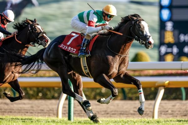 東京スポーツ杯2歳Sを制したシュトラウス(撮影：下野雄規)