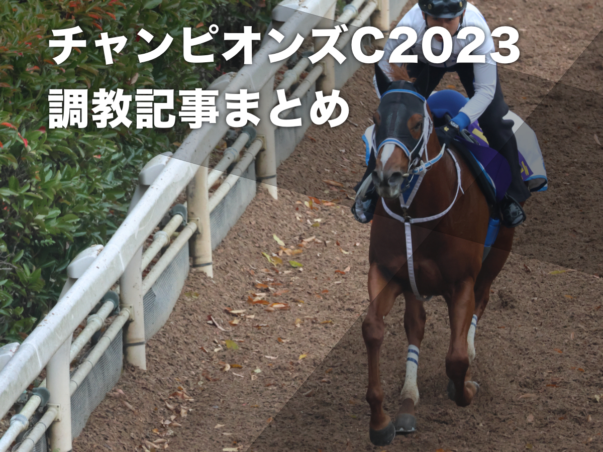 【チャンピオンズカップ2023予想】出走各馬の調教・追い切り記事まとめ