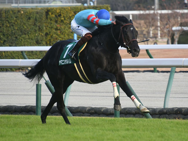 中日新聞杯を制したヤマニンサルバム(c)netkeiba.com