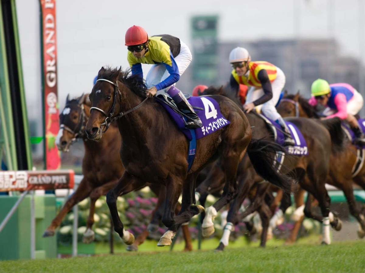 「日本近代競馬の結晶」がターフを去る(撮影：下野雄規)