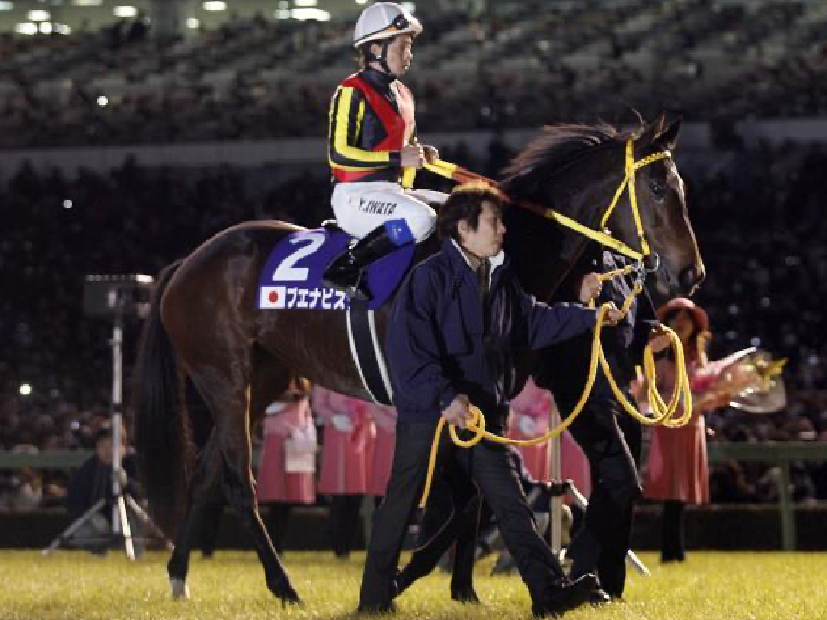 競馬ファンに「絶景」を見せ続けた名牝の引退(撮影：下野雄規)