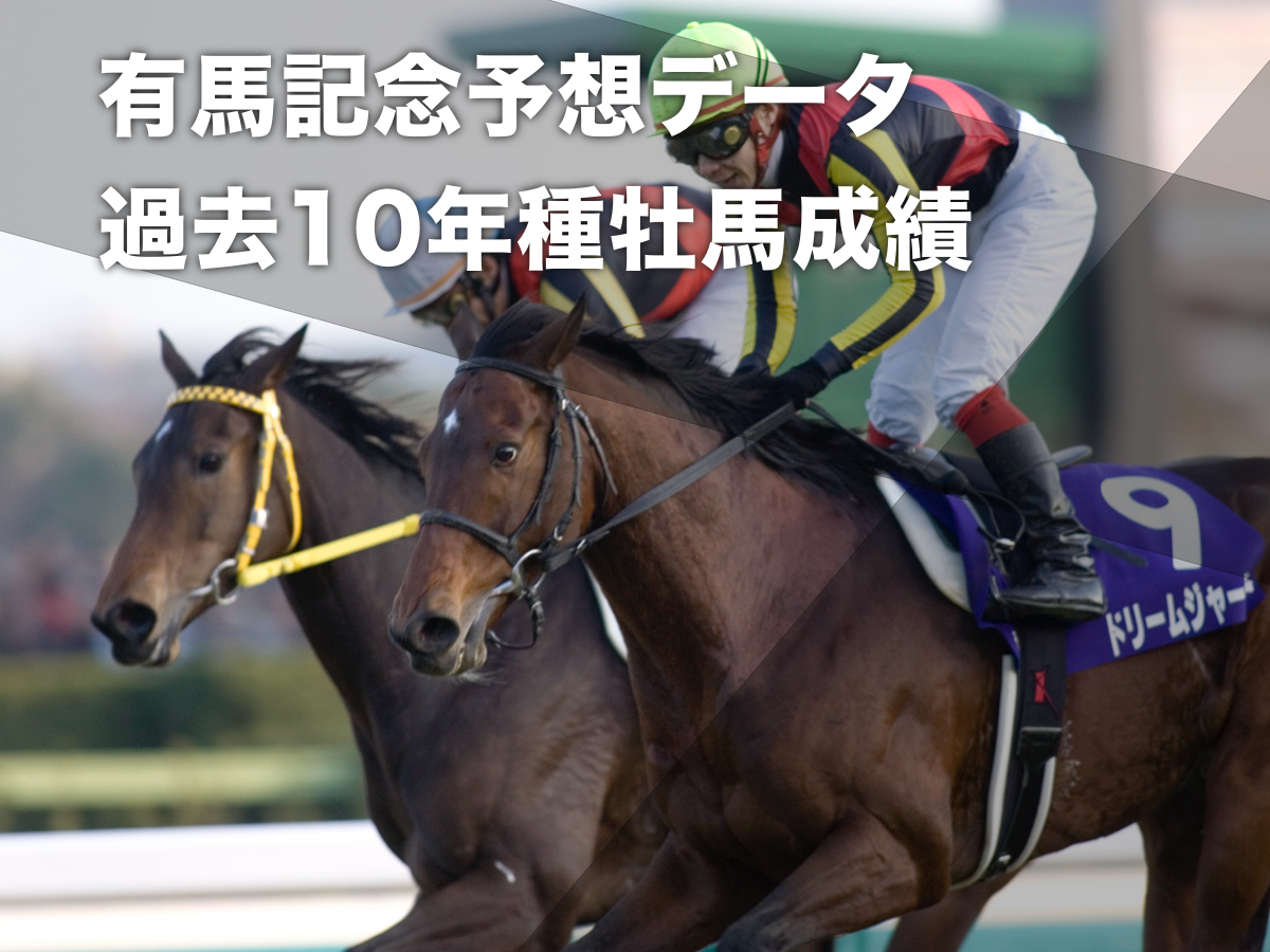 2009年の有馬記念を制したドリームジャーニー(撮影：下野雄規)