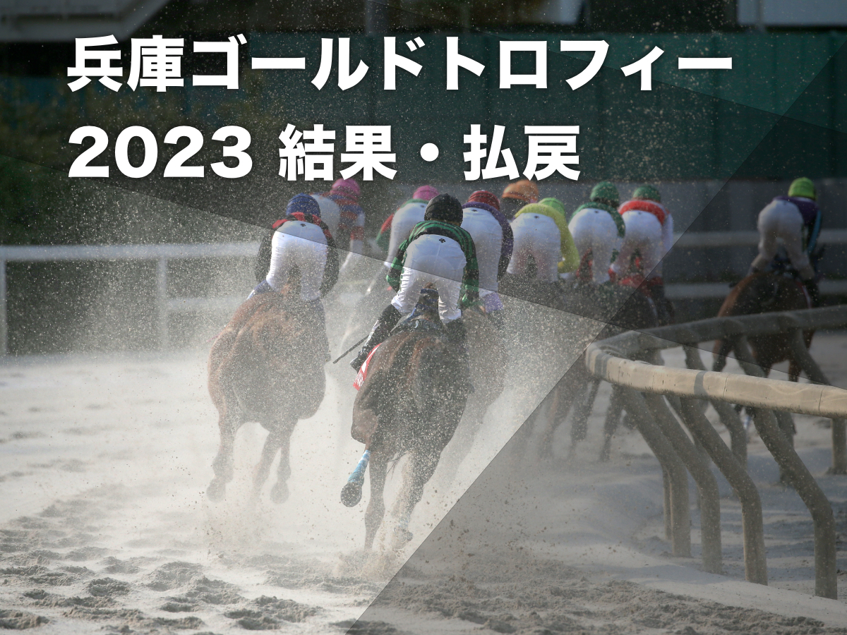 【兵庫ゴールドトロフィー2023結果情報】休み明けサンライズホークが押し切り重賞連勝！ 2着にケイアイドリーが入線