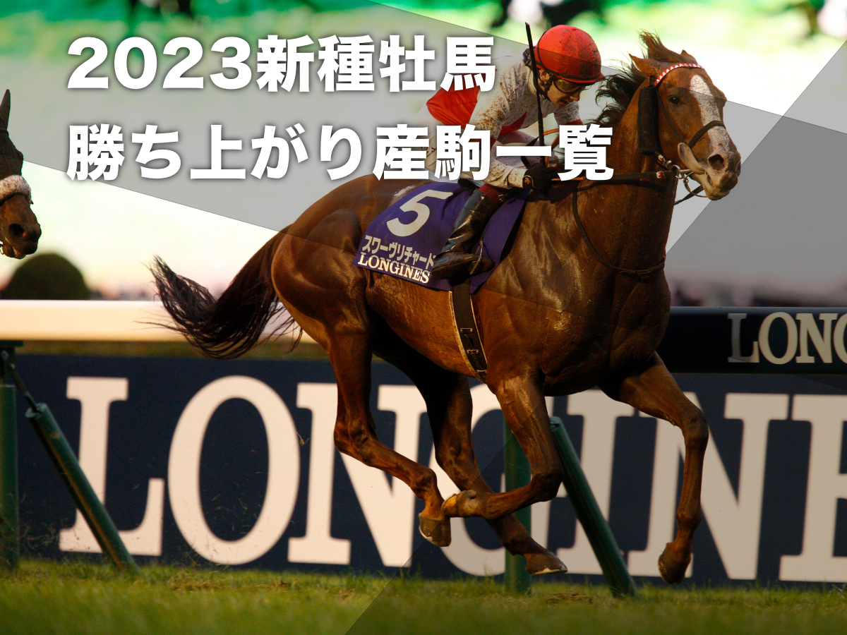 【2023年新種牡馬の成績】新種牡馬の勝ち上がり産駒一覧 スワーヴリチャード・シュヴァルグラン・ヤングマンパワーなど【POG】