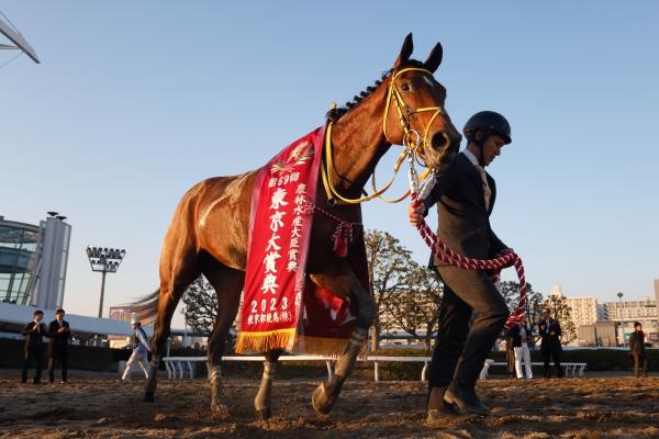 2023年東京大賞典優勝馬ウシュバテソーロ(撮影：高橋正和)