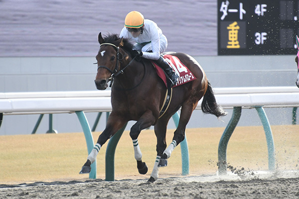 【東海ステークス 2024結果情報】ウィリアムバローズが直線押し切り重賞初制覇！