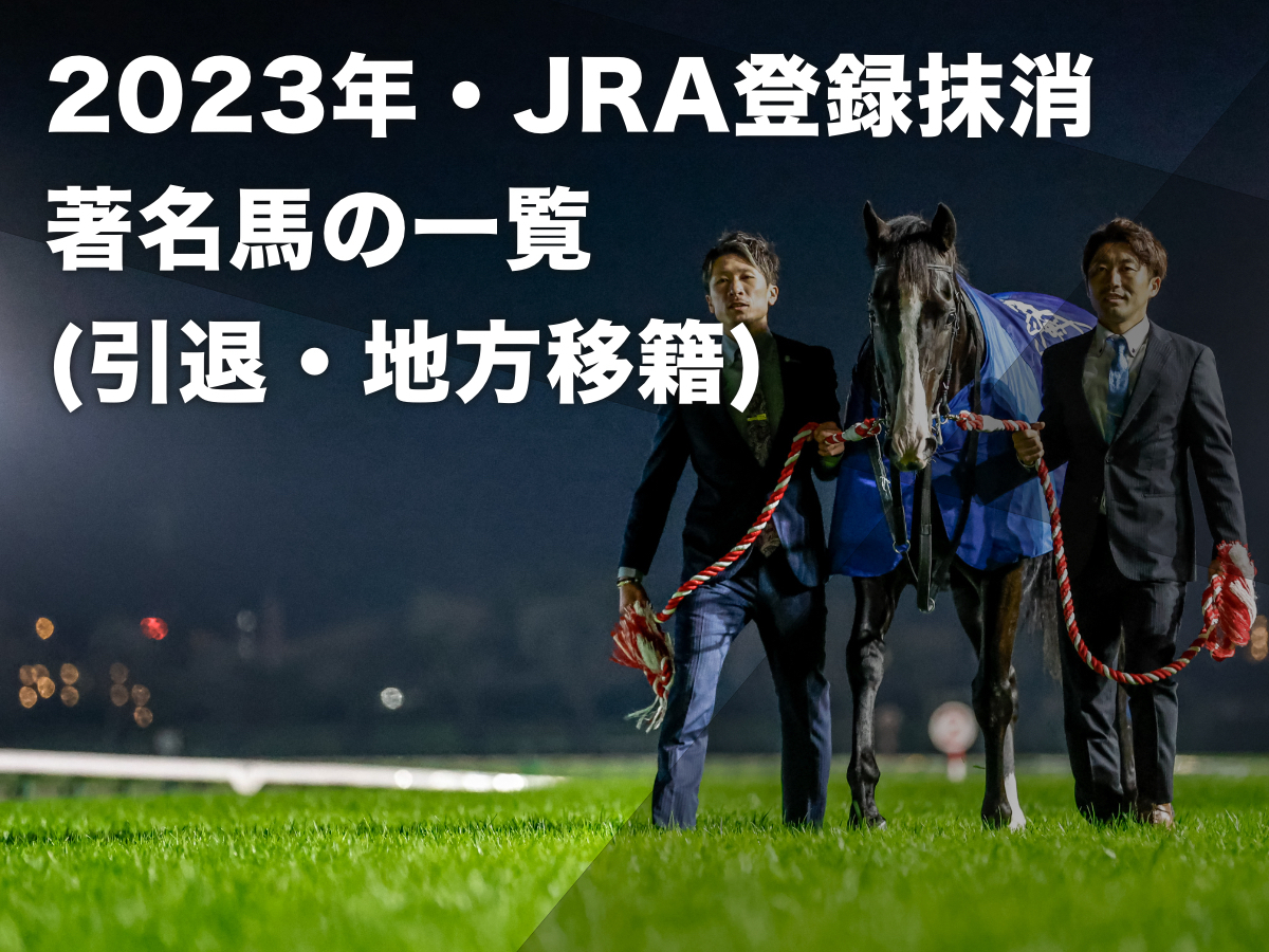 2023年の年度代表馬に輝いたイクイノックス(写真：下野雄規)