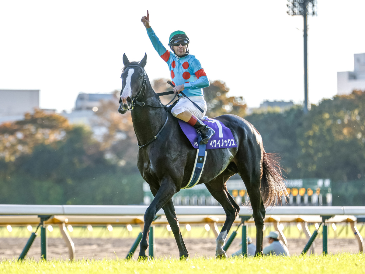 おもちゃソダシ 競馬 イクイノックス ゼッケン 桜花賞タオル 馬番