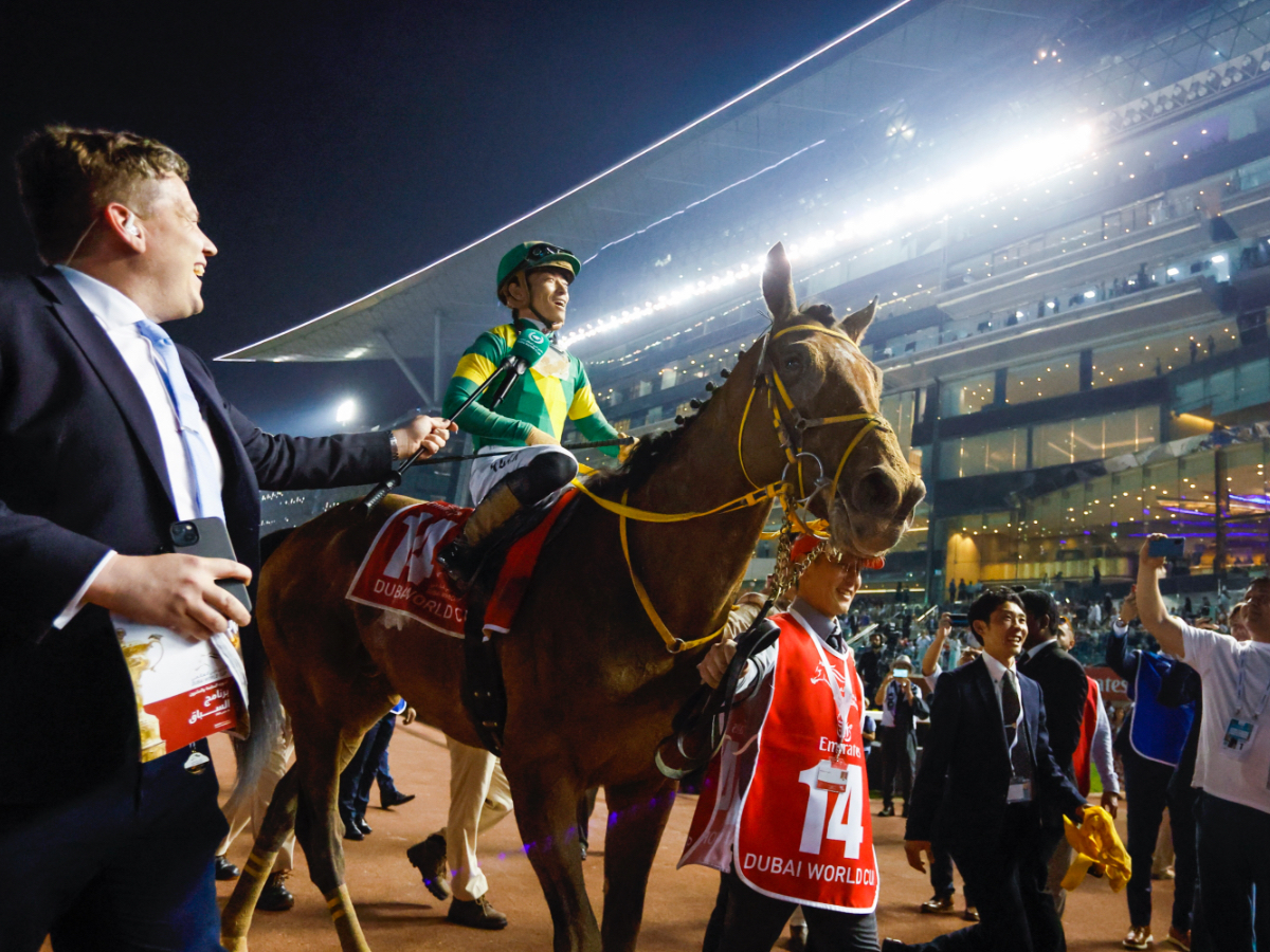 日本馬として史上2頭目のドバイワールドカップ制覇を成し遂げたウシュバテソーロ(撮影：高橋正和)