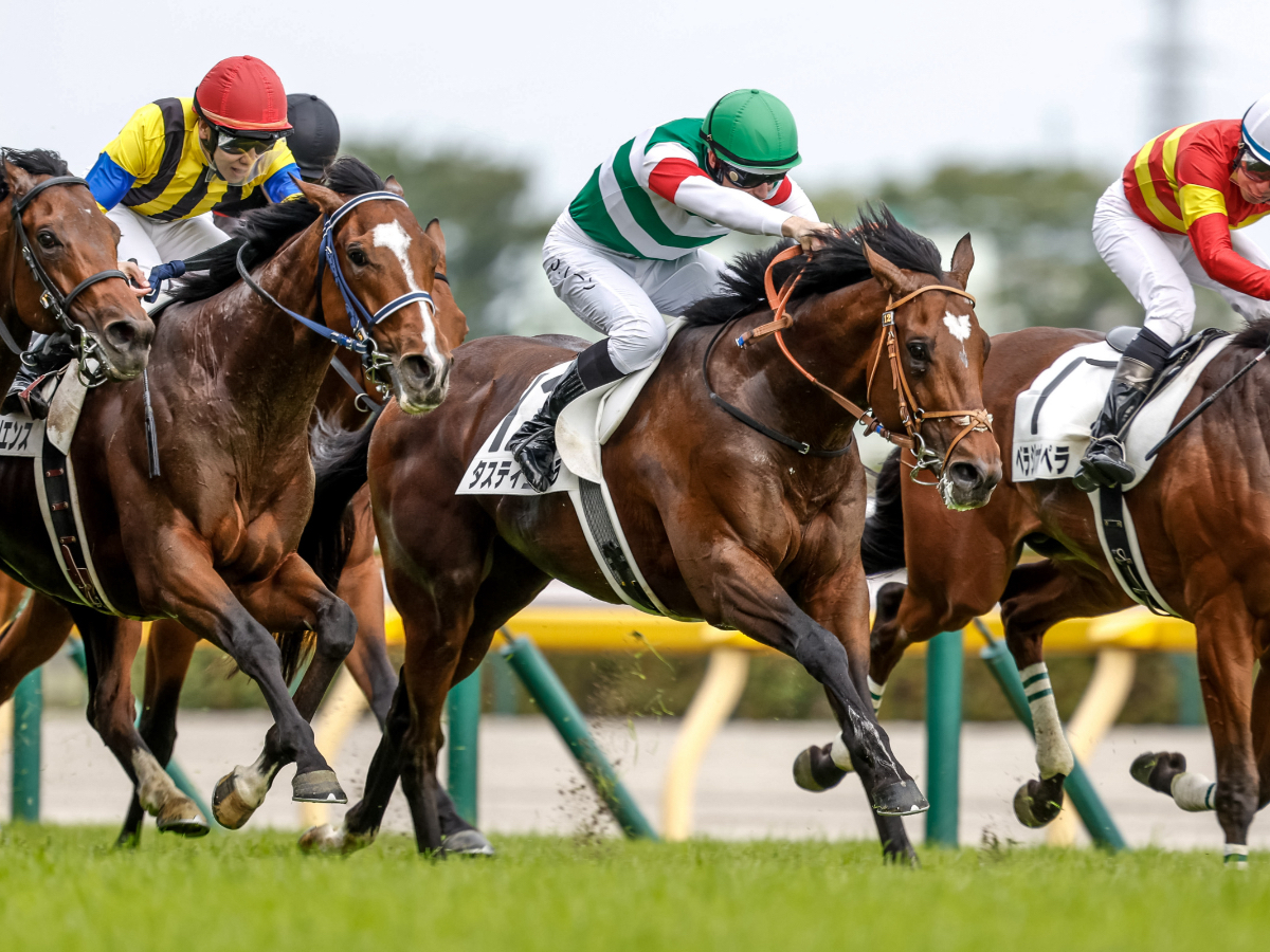 日本ダービーを制し、クラシック三冠すべてで連対を果たしたタスティエーラ(撮影：下野雄規)
