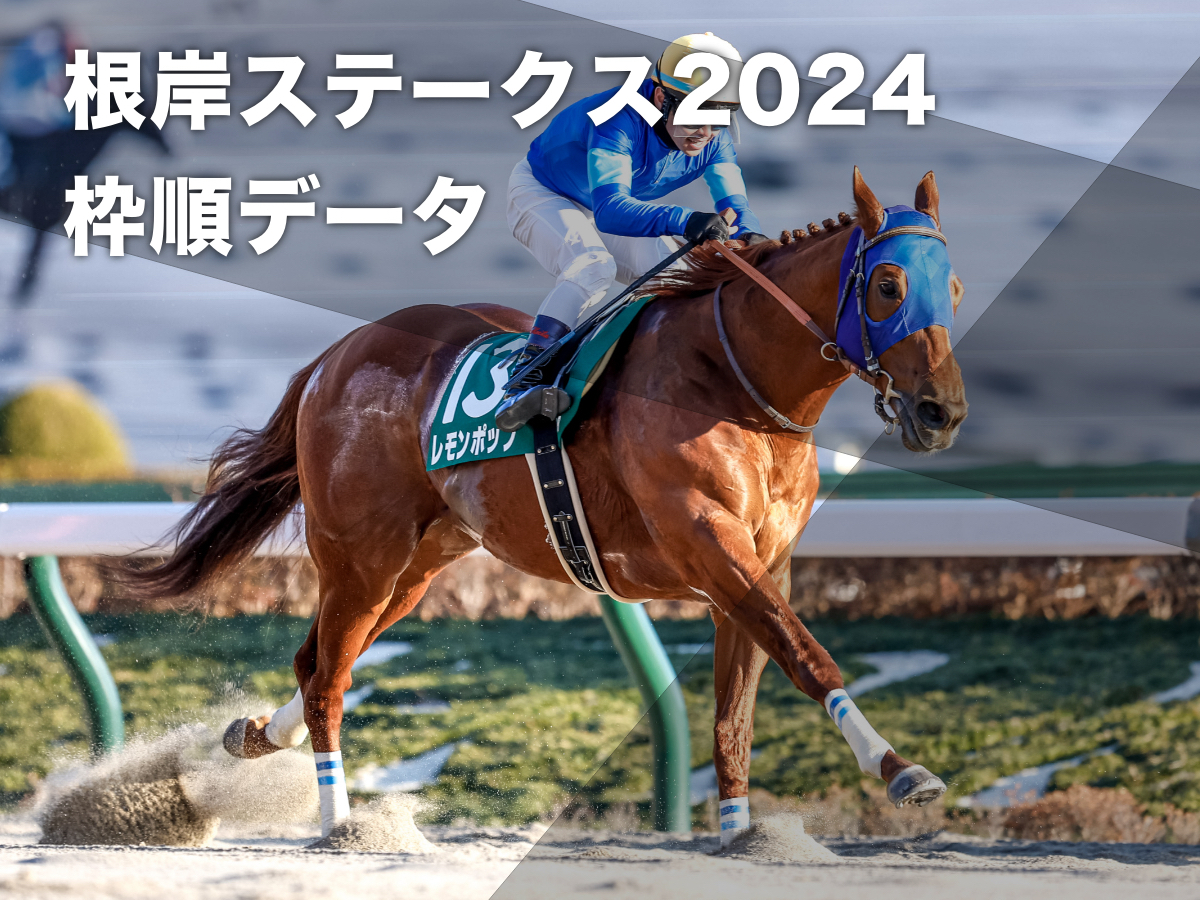 2023年の根岸ステークス覇者レモンポップ(撮影：下野雄規)