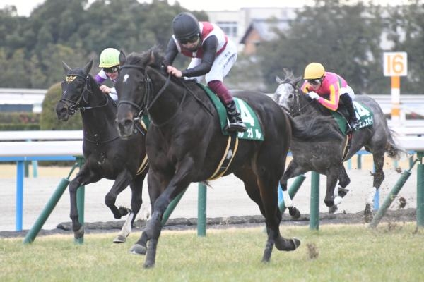 【シルクロードステークス 2024結果情報】4歳牡馬ルガル 3馬身差で重賞初制覇！