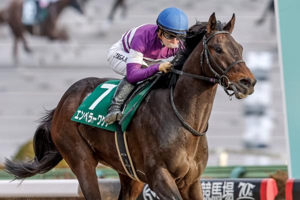 【根岸ステークス 2024結果情報】1番人気エンペラーワケアが3連勝で重賞初V！