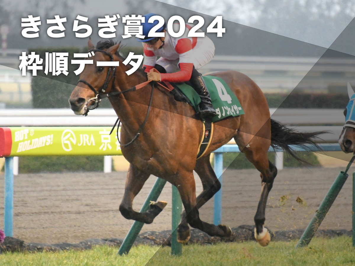 【きさらぎ賞2024予想】京都開催過去10回のデータから有利な枠順・不利な枠順を分析 