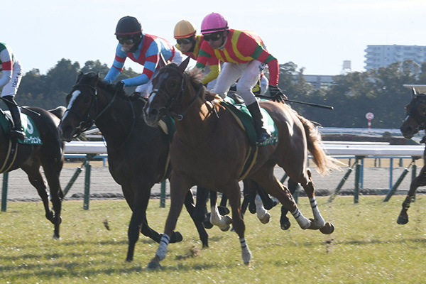 【きさらぎ賞 2024結果情報】3頭並んだ激戦をビザンチンドリームが制す！