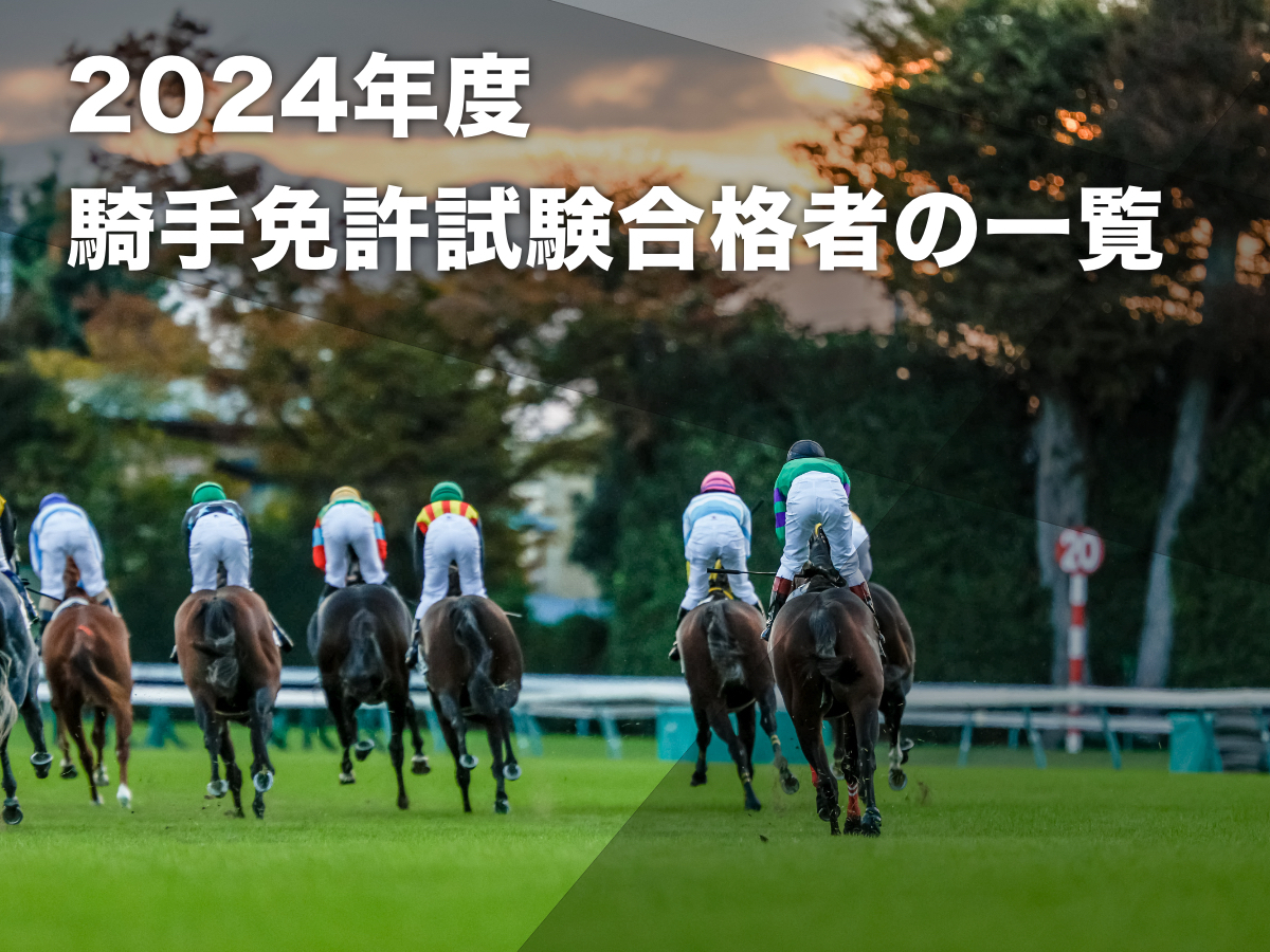 東京競馬場の様子(撮影：下野雄規)