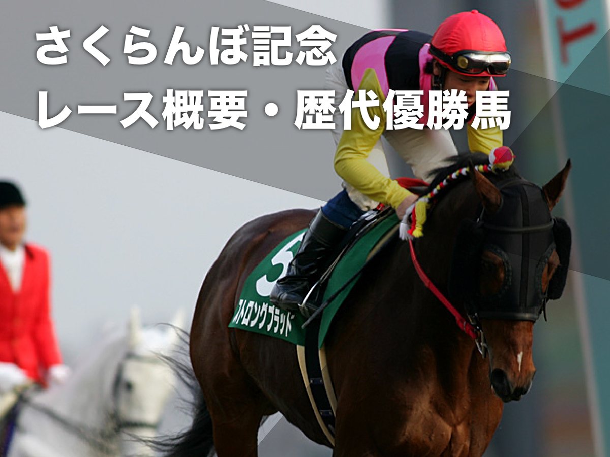 ストロングブラッド(撮影：下野雄規)