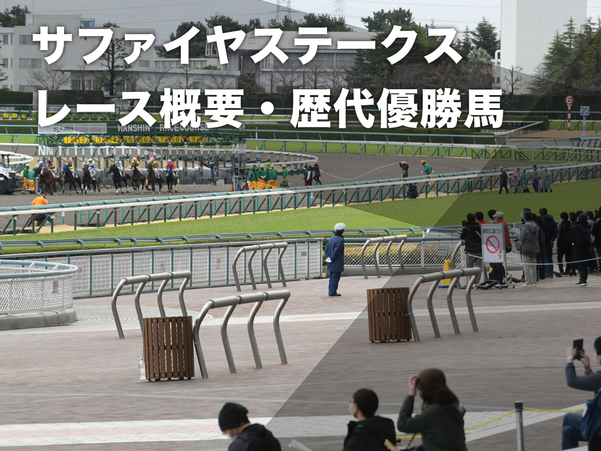 阪神競馬場(c)netkeiba