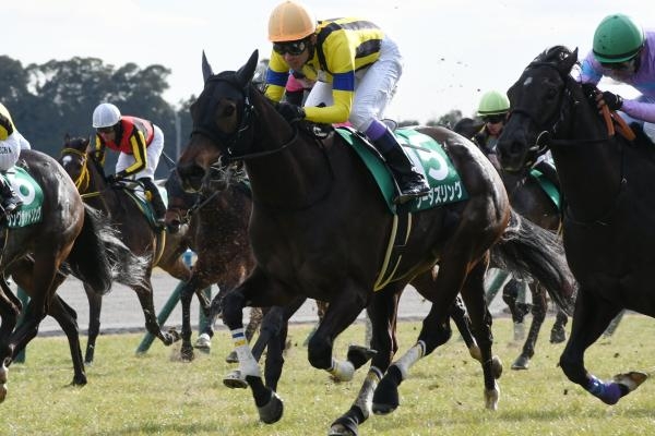 【京都牝馬ステークス 2024結果情報】ソーダズリングが差し切って重賞初勝利！