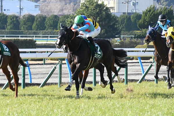 【小倉大賞典 2024結果情報】エピファニーが鮮やかに差し切って重賞初制覇！