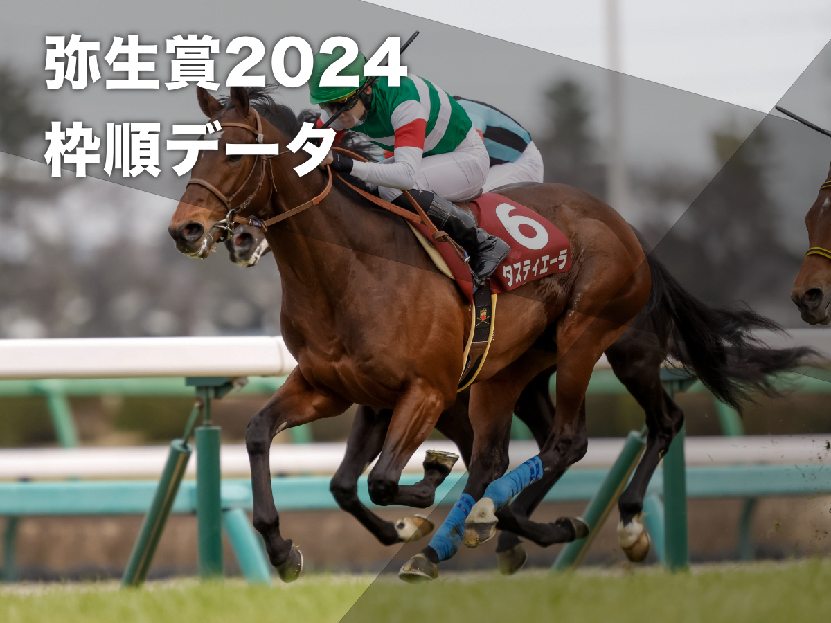 2023年の弥生賞覇者タスティエーラ(撮影：下野雄規)